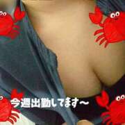 ヒメ日記 2025/10/30 12:15 投稿 あかね clubさくら梅田店