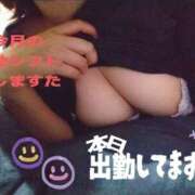 ヒメ日記 2025/11/17 14:15 投稿 あかね clubさくら梅田店