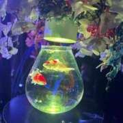 ヒメ日記 2025/09/18 19:45 投稿 れいか ごほうびSPA名古屋店