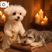 れいか おやすみなさい ごほうびSPA名古屋店