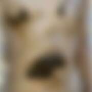 ヒメ日記 2025/09/21 22:32 投稿 りん《大阪在籍》 排泄マニア