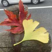 みなも お久しぶりです·͜· 全裸SUPERプレミアム