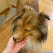 ヒメ日記 2025/10/25 23:14 投稿 ひなみ コンカフェ＆オナクラ ちいかの！池袋店