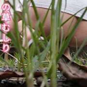 ヒメ日記 2025/09/09 07:35 投稿 なつめ 人妻美人館