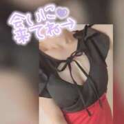 ヒメ日記 2025/09/20 15:33 投稿 なつめ 人妻美人館