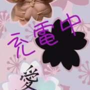 ヒメ日記 2025/10/07 02:46 投稿 なつめ 人妻美人館