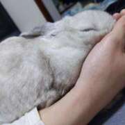 ヒメ日記 2025/10/16 02:29 投稿 なつめ 人妻美人館