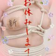 ヒメ日記 2025/10/29 08:31 投稿 なつめ 人妻美人館