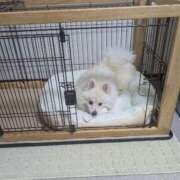 ヒメ日記 2025/10/30 23:50 投稿 なつめ 人妻美人館