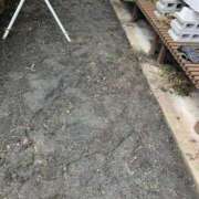 ヒメ日記 2025/11/09 14:38 投稿 なつめ 人妻美人館