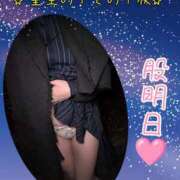 ヒメ日記 2025/12/20 23:35 投稿 なつめ 人妻美人館