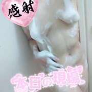 ヒメ日記 2026/02/12 06:28 投稿 なつめ 人妻美人館