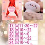 ヒメ日記 2026/02/17 11:10 投稿 なつめ 人妻美人館