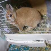 ヒメ日記 2026/02/19 23:08 投稿 なつめ 人妻美人館