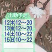 ヒメ日記 2026/03/06 11:46 投稿 なつめ 人妻美人館