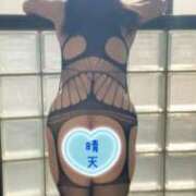 ヒメ日記 2026/03/07 02:24 投稿 なつめ 人妻美人館