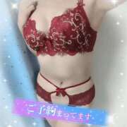 ヒメ日記 2026/07/07 10:47 投稿 なつめ 人妻美人館