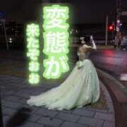 ヒメ日記 2026/07/08 18:20 投稿 なつめ 人妻美人館
