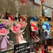 ヒメ日記 2025/10/18 13:02 投稿 すい スピードエコ難波店