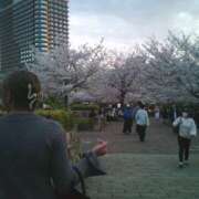 ヒメ日記 2026/04/09 12:32 投稿 すい スピードエコ難波店