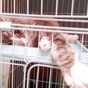 ヒメ日記 2025/09/12 08:54 投稿 久保田 熟女の風俗最終章 横浜本店