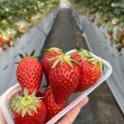 ヒメ日記 2025/10/20 22:44 投稿 みく VIVIDCREW 梅田堂山店