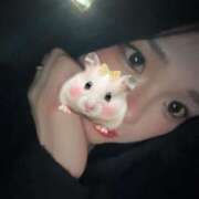 ヒメ日記 2025/10/22 00:34 投稿 ちま ばつぐん素人プロダクション