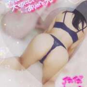 ヒメ日記 2026/04/01 00:01 投稿 るか ニューグランド