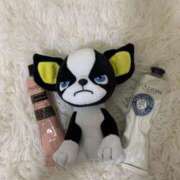 ヒメ日記 2025/11/13 03:11 投稿 レイカ 千葉美女革命