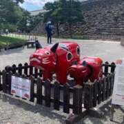 ヒメ日記 2025/12/01 18:21 投稿 レイカ 千葉美女革命