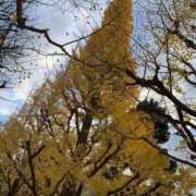 ヒメ日記 2025/12/09 19:02 投稿 レイカ 千葉美女革命