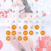 ヒメ日記 2025/12/14 22:16 投稿 レイカ 千葉美女革命