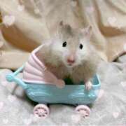 ヒメ日記 2025/09/16 21:38 投稿 白雪　みらん Secret　select