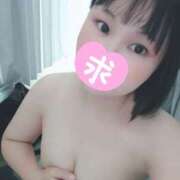 ヒメ日記 2025/09/27 13:42 投稿 ゆあ ぽちゃカワ女子専門店　藤沢湘南店