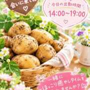 安田千里 出勤します！ 五十路マダムエクスプレス横浜店（カサブランカグループ）
