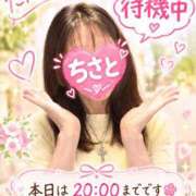 ヒメ日記 2026/10/21 15:24 投稿 安田千里 五十路マダムエクスプレス横浜店（カサブランカグループ）