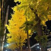 ヒメ日記 2025/12/23 04:19 投稿 東雲しゅう ザイオン 会員制アロマエステ