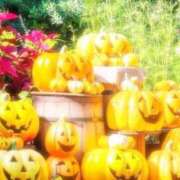 ヒメ日記 2025/10/18 08:05 投稿 おとは 横浜おかあさん