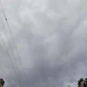 ヒメ日記 2025/10/18 15:59 投稿 おとは 横浜おかあさん