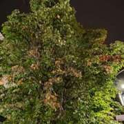 ヒメ日記 2025/10/22 18:59 投稿 おとは 横浜おかあさん