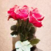 ヒメ日記 2025/11/11 11:05 投稿 おとは 横浜おかあさん