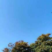 ヒメ日記 2025/11/15 10:25 投稿 おとは 横浜おかあさん