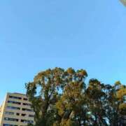 ヒメ日記 2025/11/15 16:15 投稿 おとは 横浜おかあさん