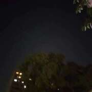 ヒメ日記 2025/11/15 18:05 投稿 おとは 横浜おかあさん