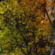 ヒメ日記 2025/12/07 19:05 投稿 おとは 横浜おかあさん