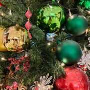 ヒメ日記 2025/12/24 13:20 投稿 おとは 横浜おかあさん