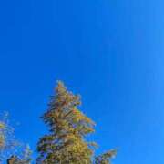 ヒメ日記 2026/01/03 12:05 投稿 おとは 横浜おかあさん