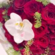 おとは おはようございます♪ 横浜おかあさん