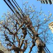 おとは リクエスト 横浜おかあさん