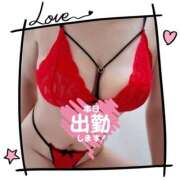 ヒメ日記 2025/09/13 00:02 投稿 -新人-しょう ご近所物語